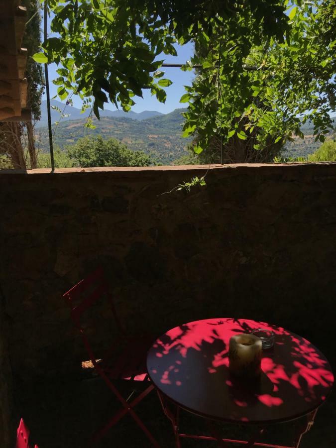 La Banditaccia Monticello Amiata Extérieur photo